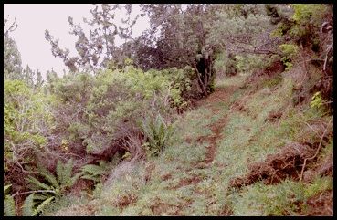 View along the Boundary Trail