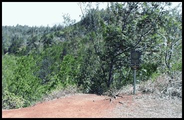 Viewpoint from Kuaokala Trail