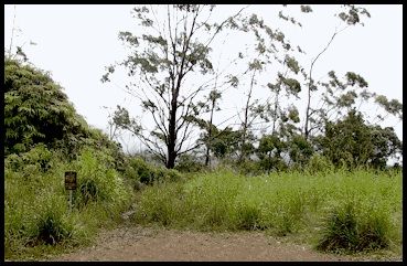 Schofield-Waikane Trail