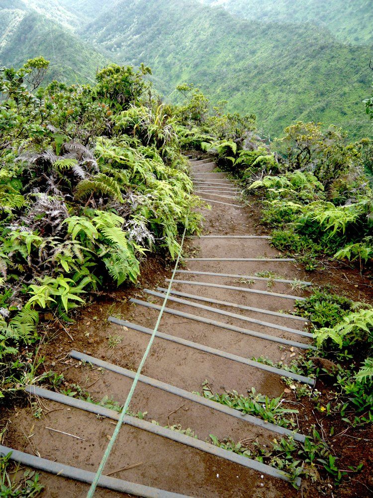 Wiliwilinui Ridge Trail Stairs