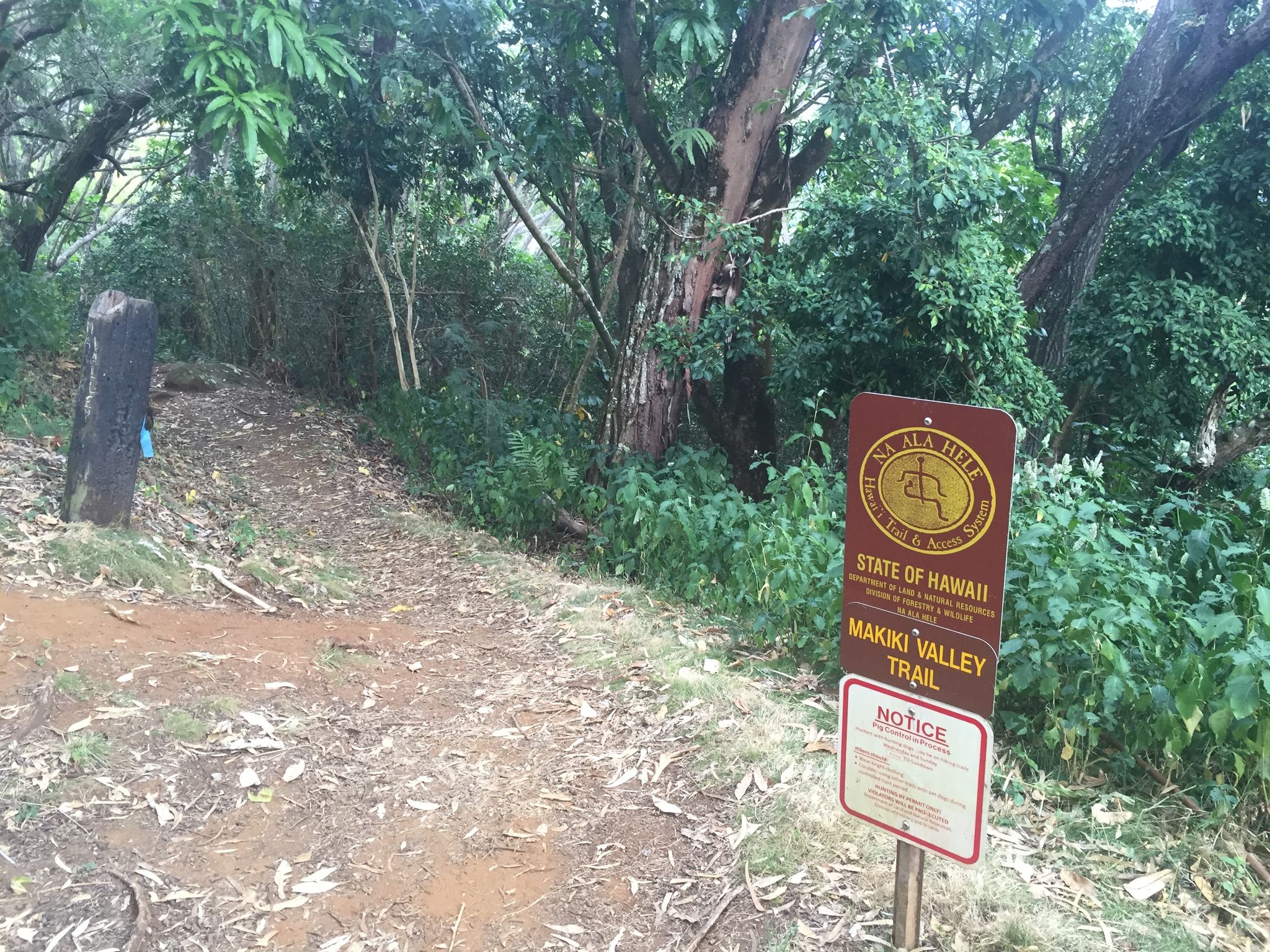 Makiki Valley Trail - Tantalus Drive Start