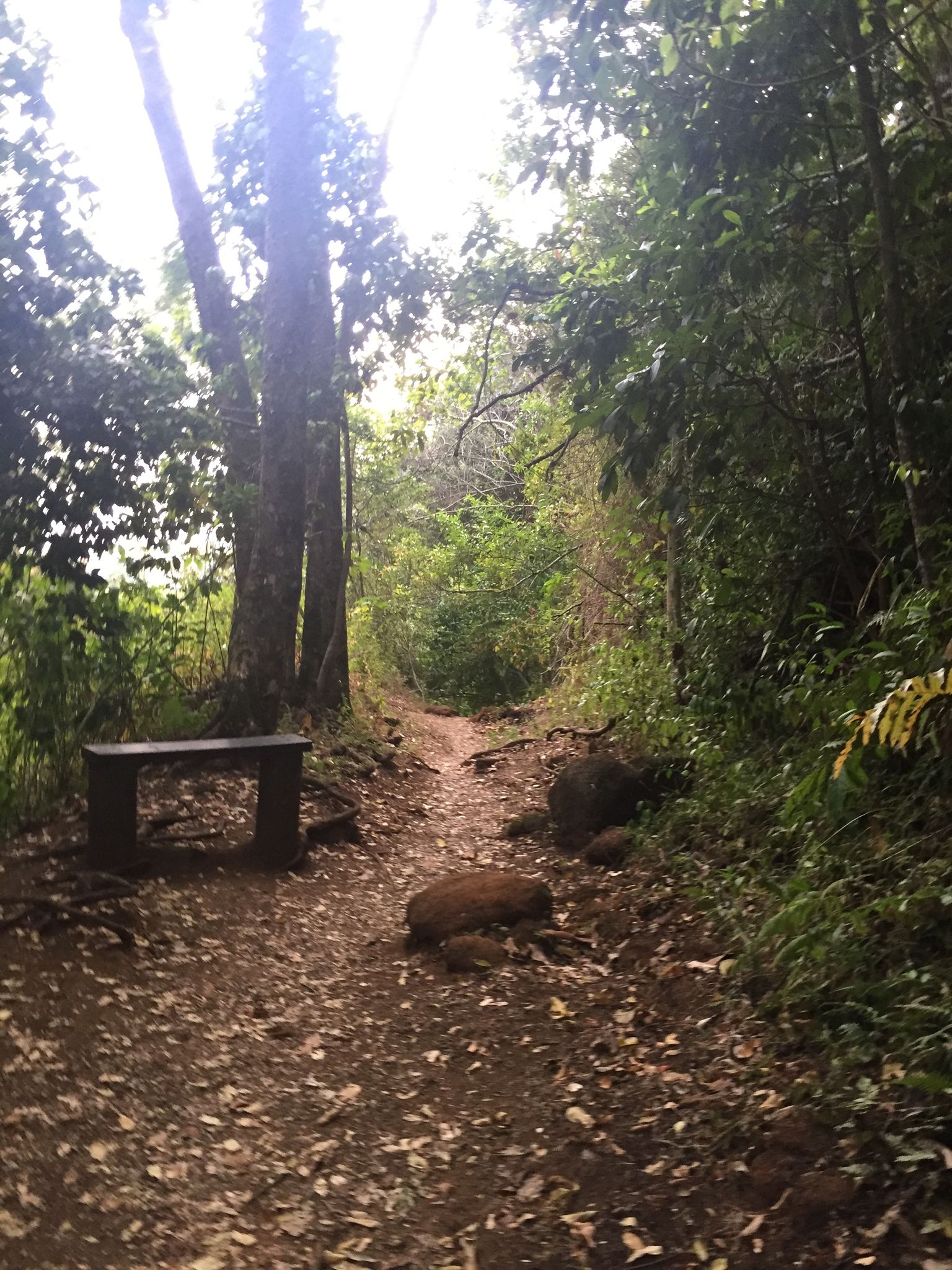 Kanealole Trail - Upper bench site