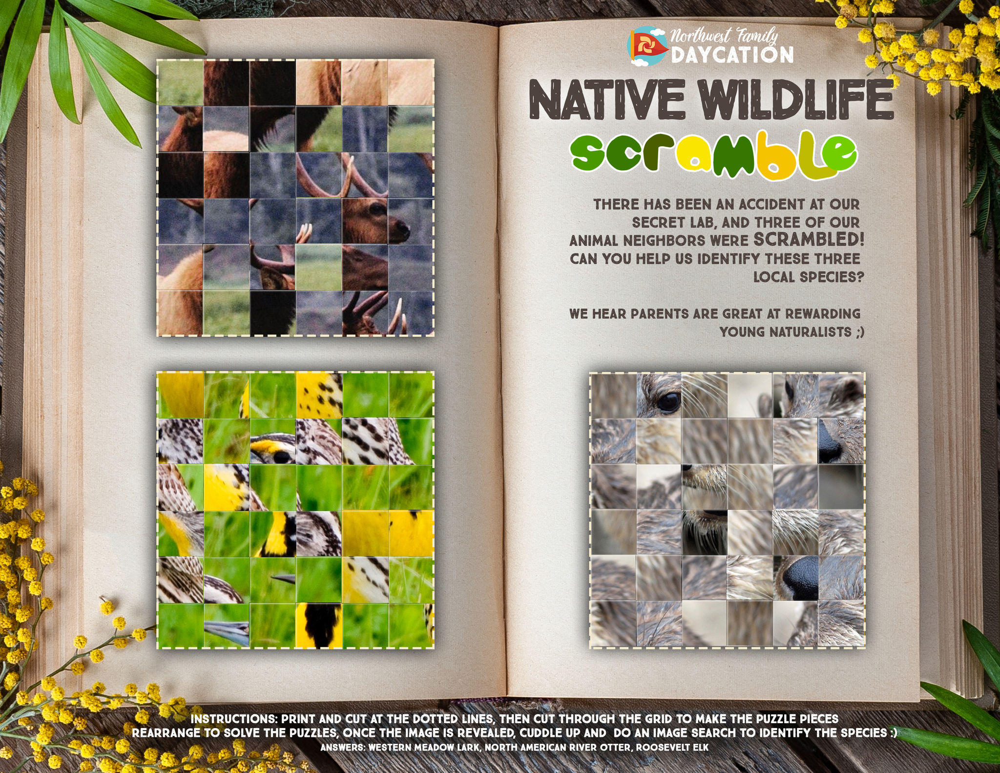 Native_Wildlife_Scramble_English.jpeg