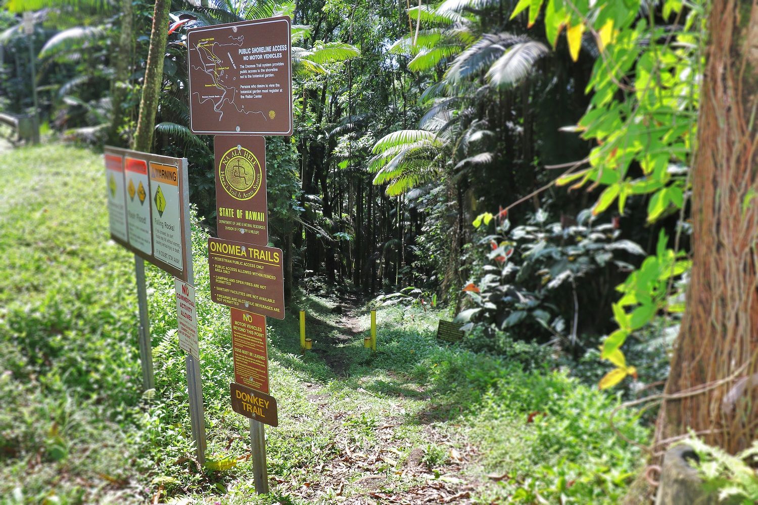 The trail head to the Donkey Trail at Onomea Bay is near the Hawaiʻi Tropical Botanical Garden's Vistor's Center