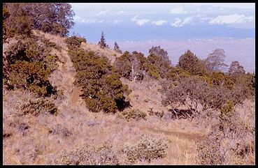 Scenic view from Waiakoa Loop Trail