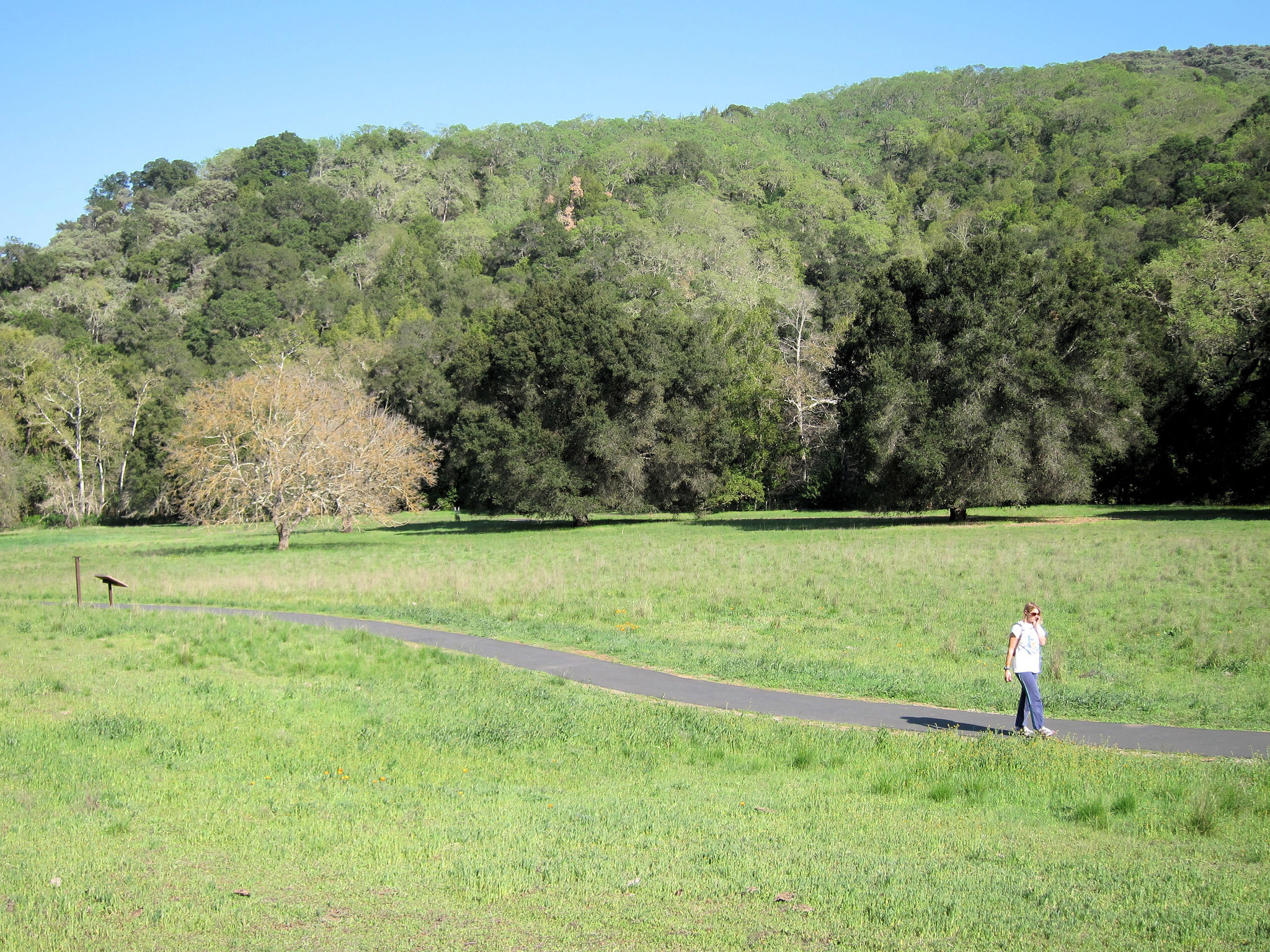 Llagas Creek Loop Trail