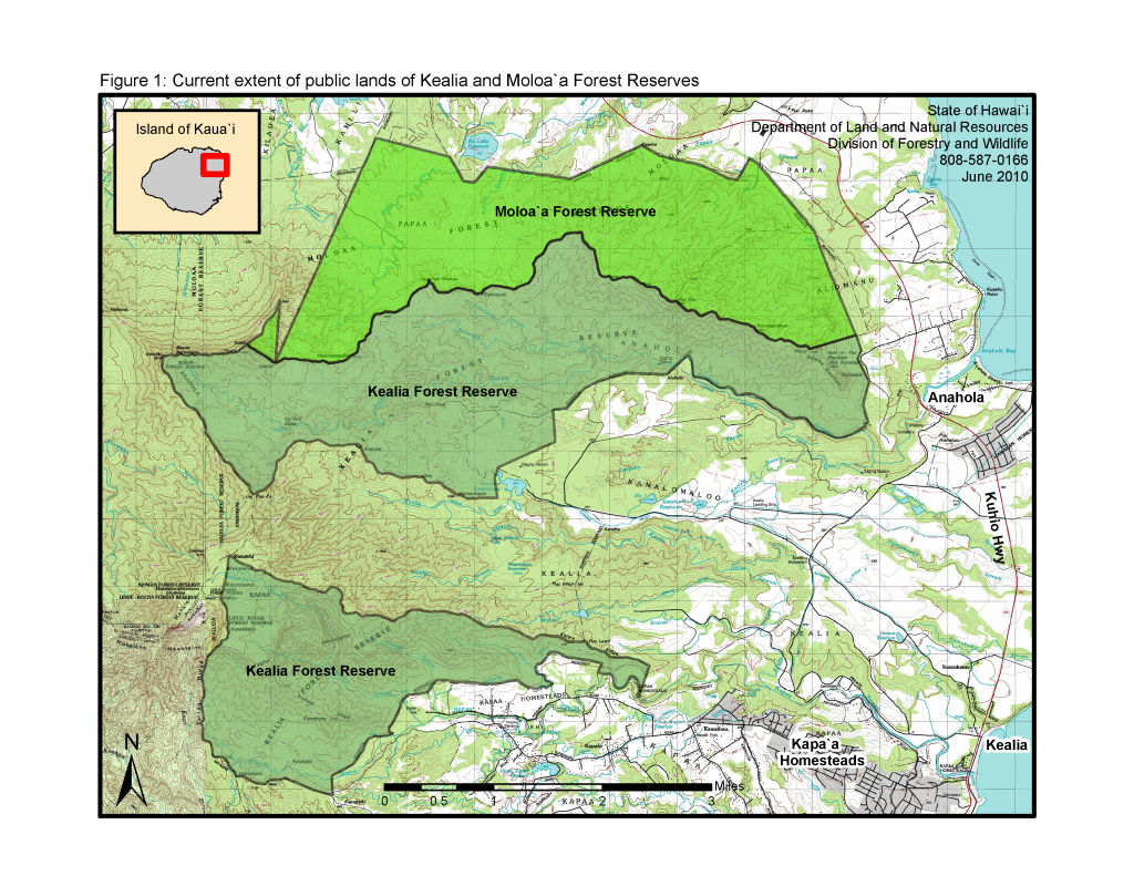 Current extent of public lands of Kealia and Moloaa Forest Reserves