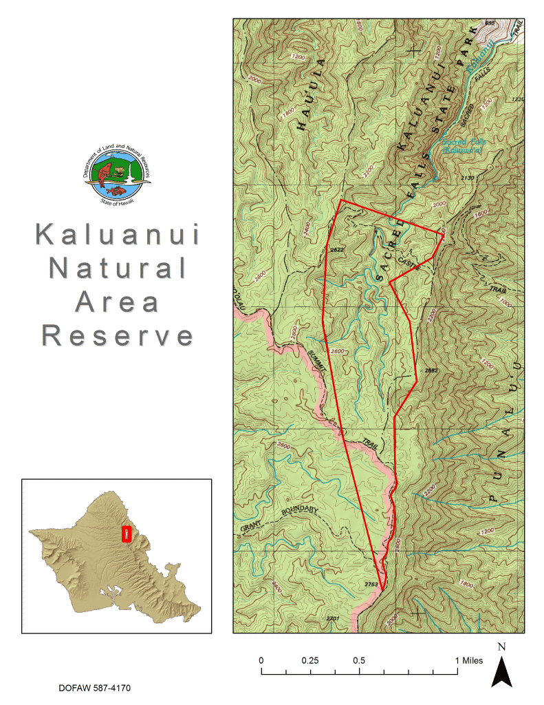 Kaluanui Natural Area Reserve