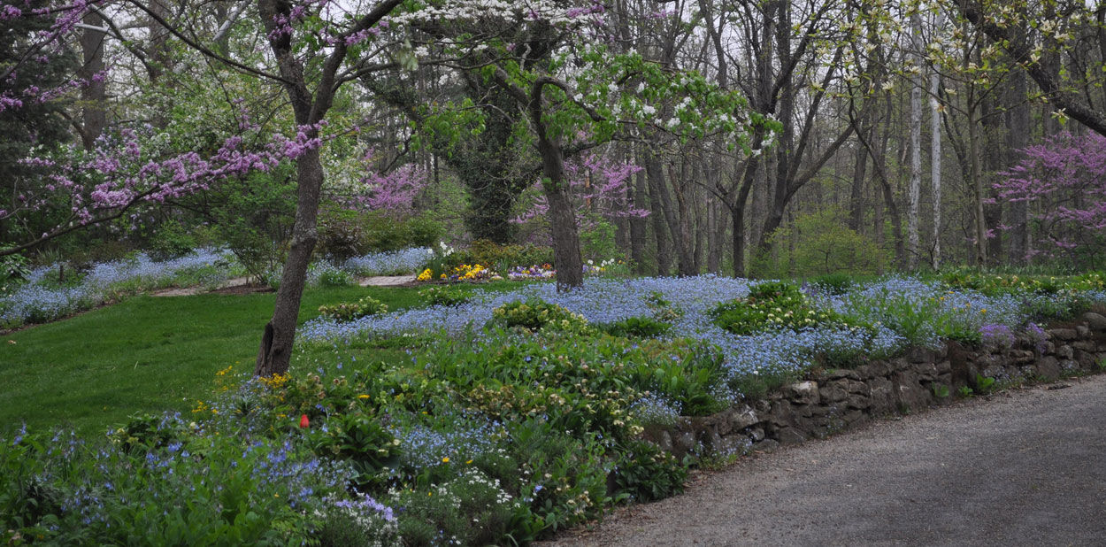 Spring color abounds at Aullwood Garden