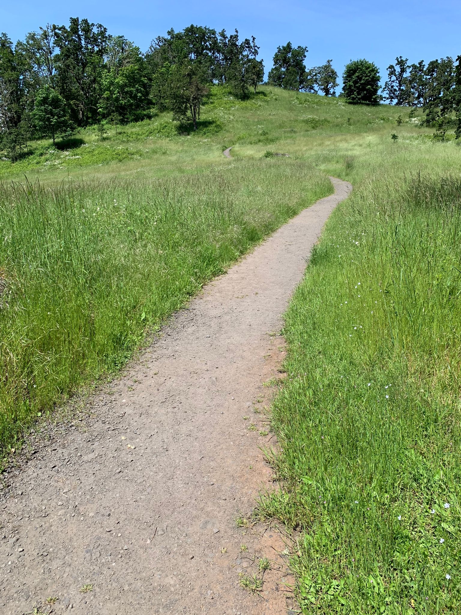 Trail 30 ascending to Swing Hill