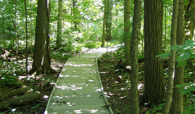 park-dull-woods-boardwalk.jpg