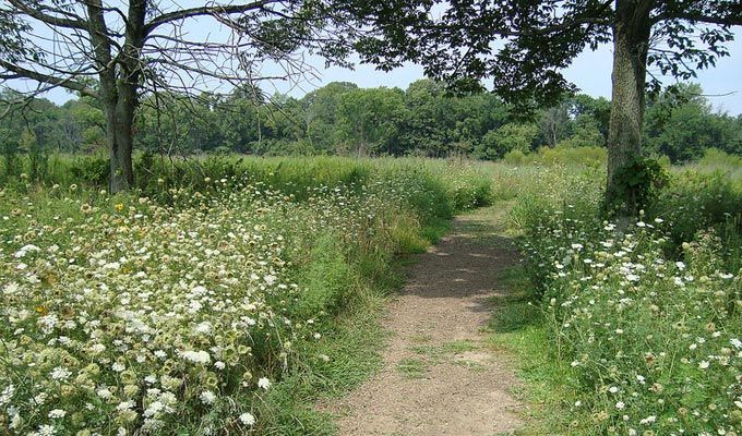 places-cox-arboretum-feature-conservation-corner.jpg