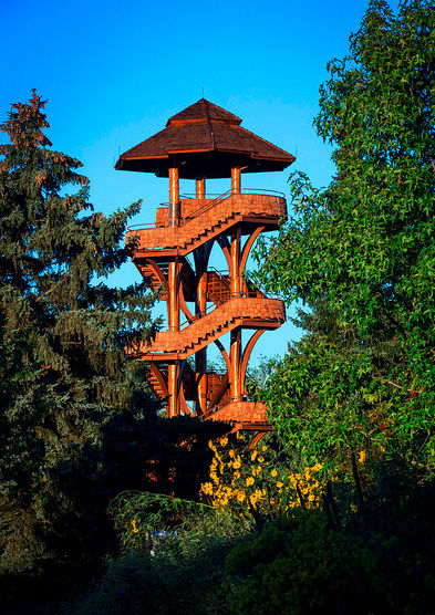 places-cox-arboretum-tree-tower.jpg