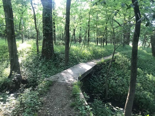 west-park-trail.jpg