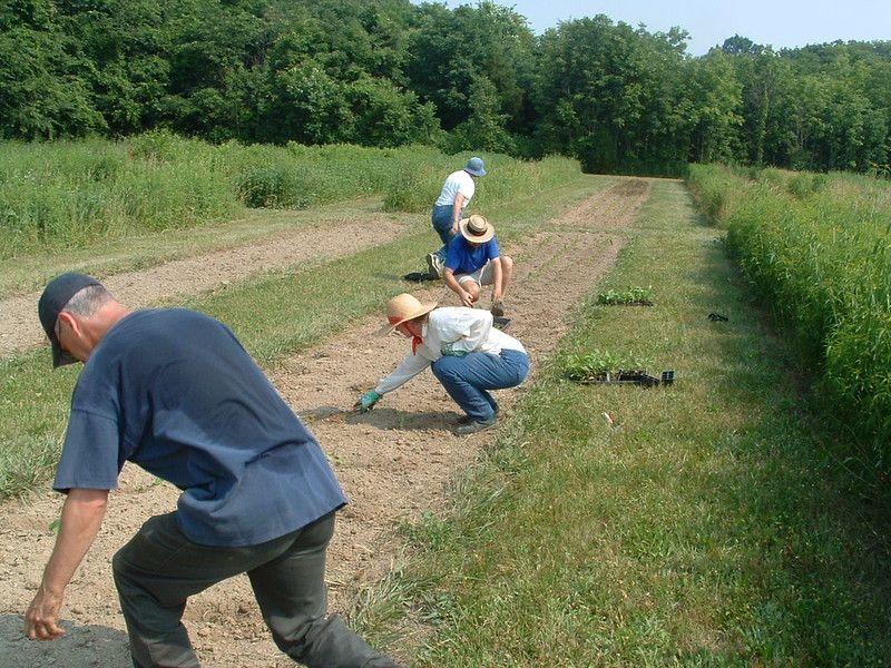 seed-nursery2.jpg