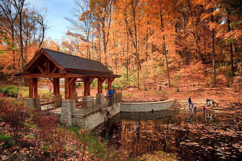 dogwood-pond.jpg