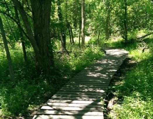 Creekside Trail at MoMBA