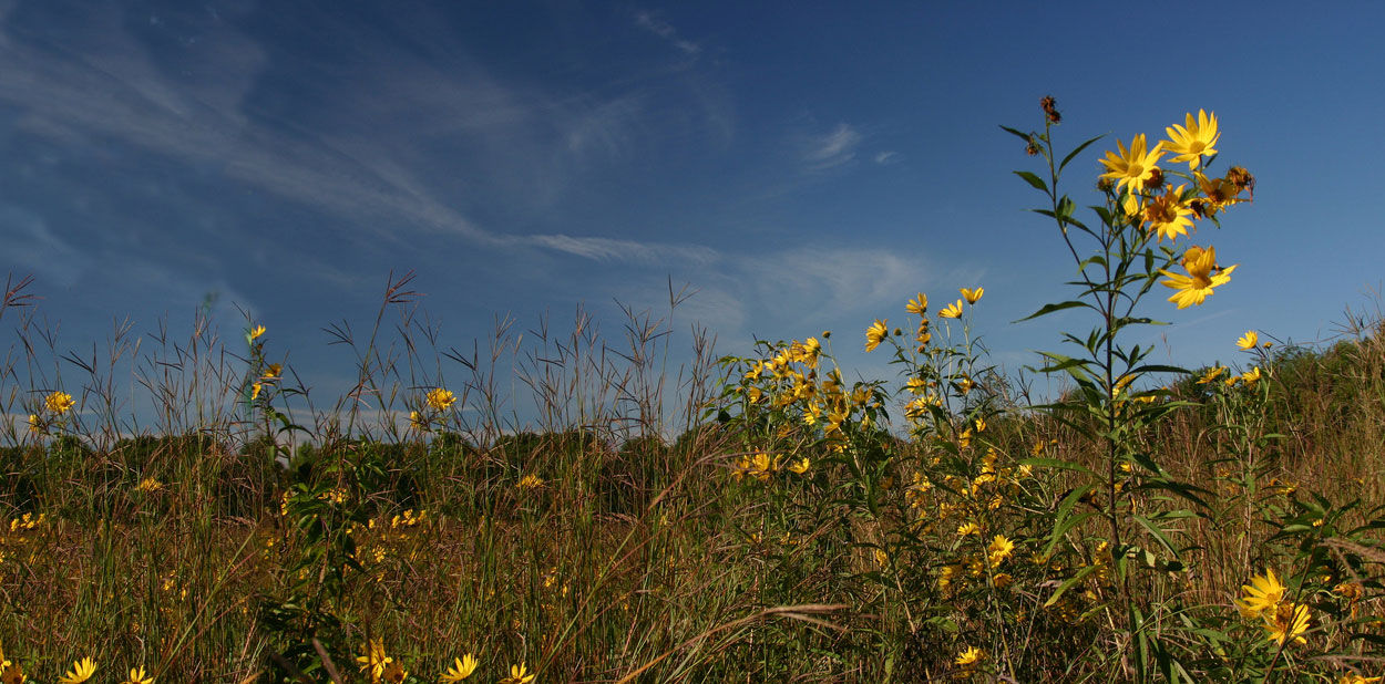 places-sugarcreek-slider-prairie.jpg