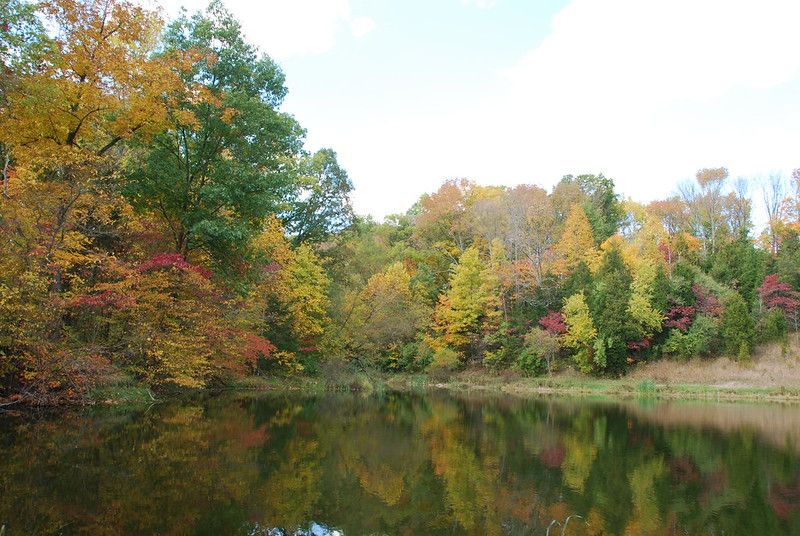 dogwood-pond.jpg