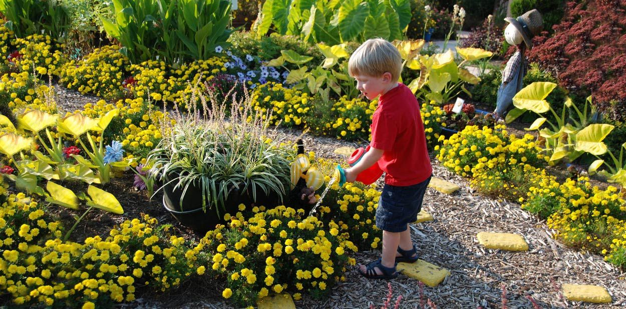 places-wegerzyn-gardens-slider-watering.jpg