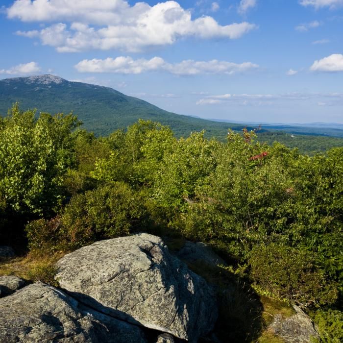Blue skies and open forest make up the views from Gap Mountain.