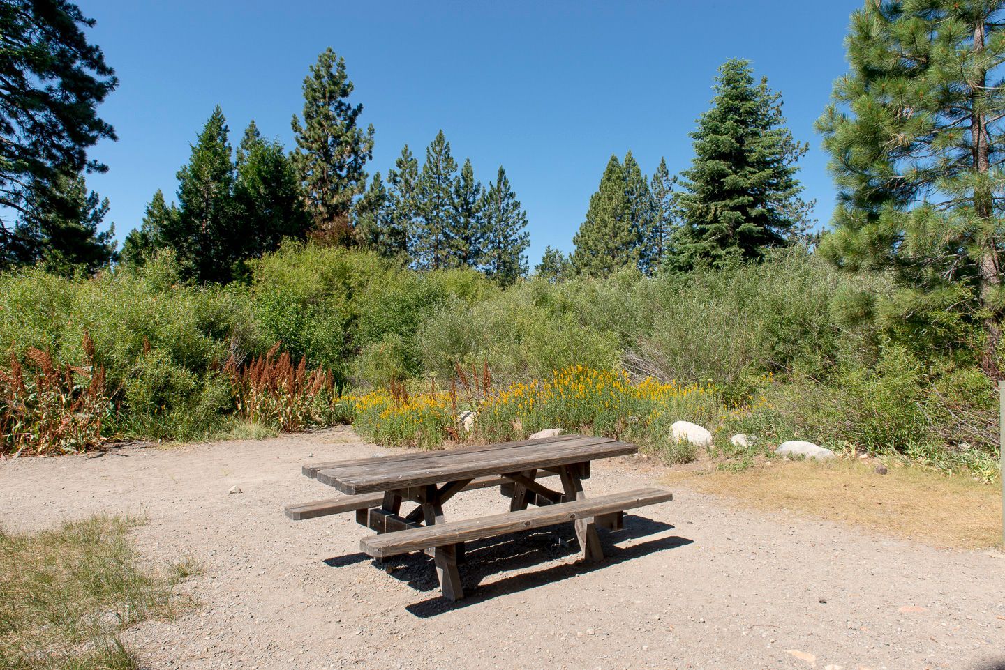 Image of California State Park