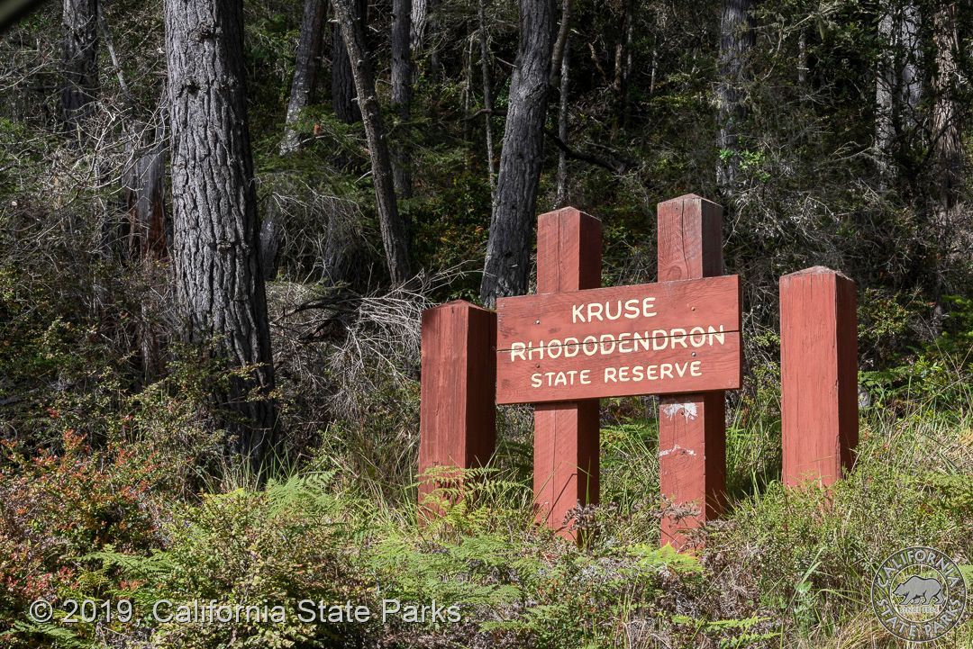 Image of California State Park