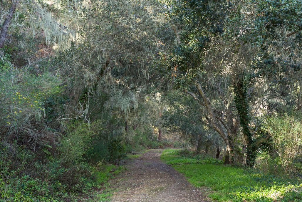 Image of California State Park