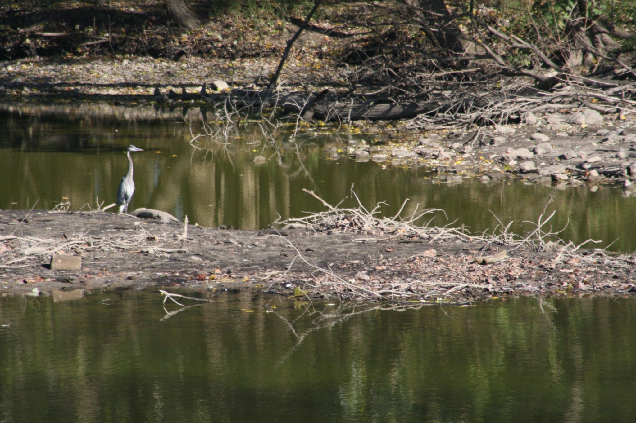 PlacesToGo-Englewood-FeaturedLocations-WildlifeObservationArea.jpg