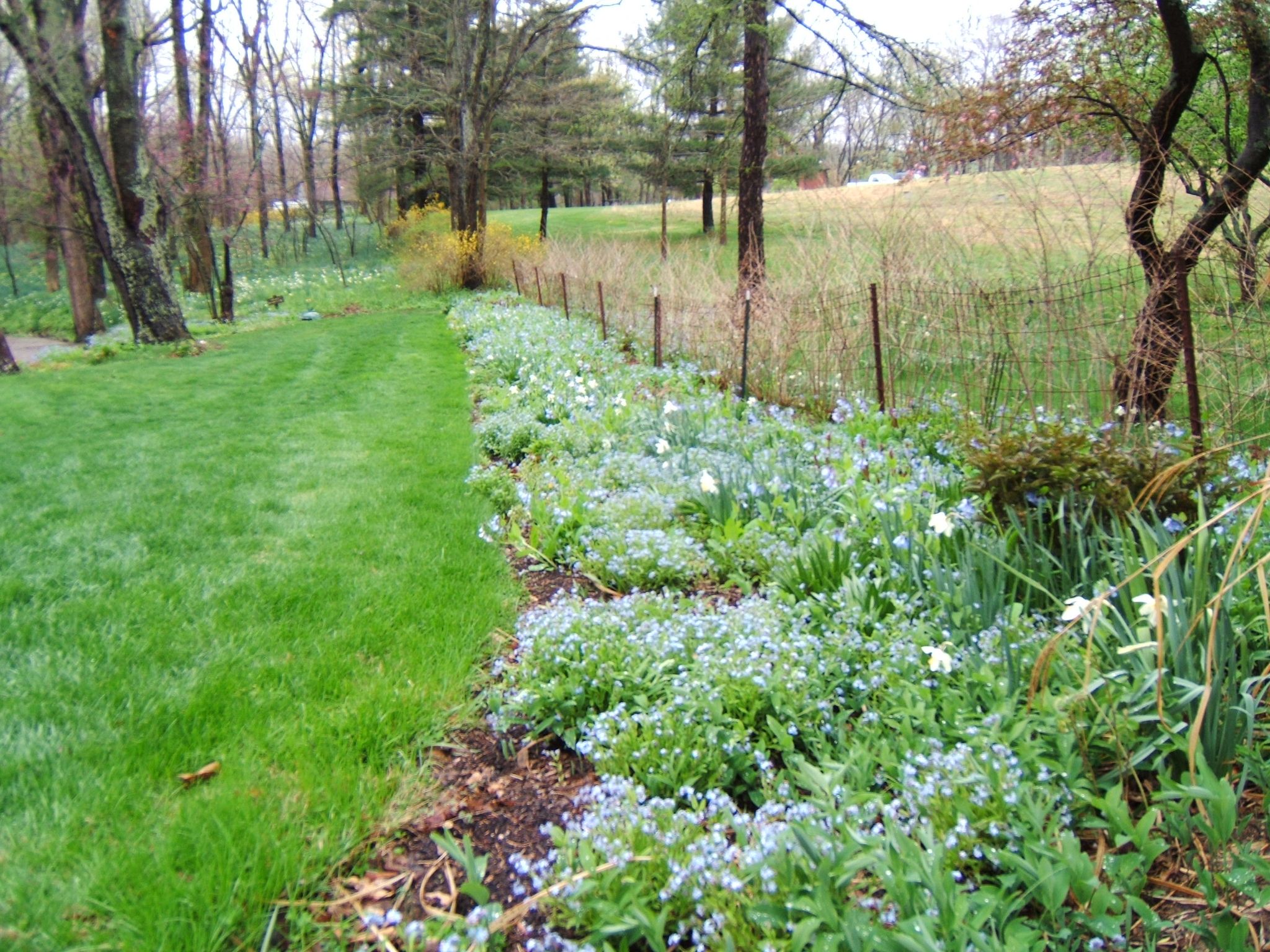 Antique_fence_in_Spring_2.JPG