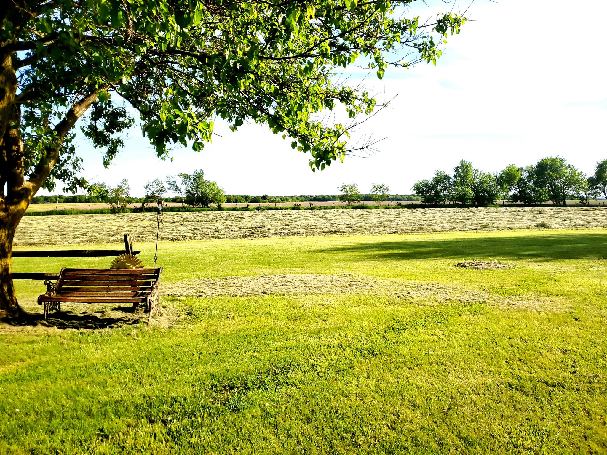 Hay field in Illinois, US.
