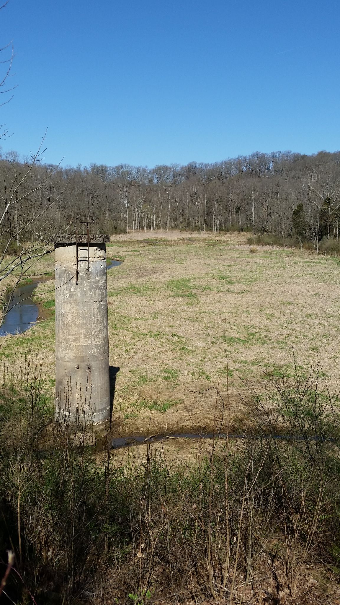 View from atop old dam at Leonard Springs Nature Park.