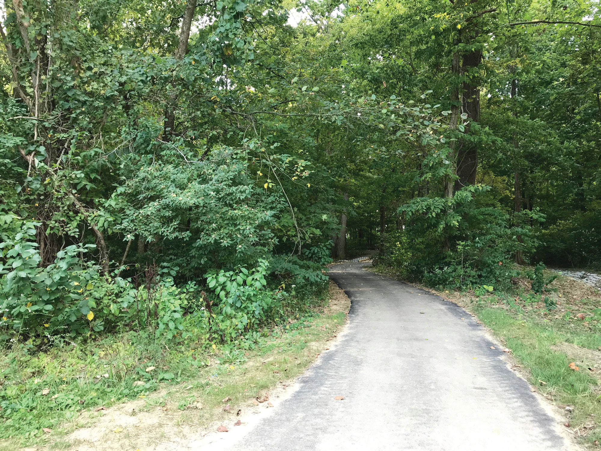 RCA Community Park entrance to the south trail.