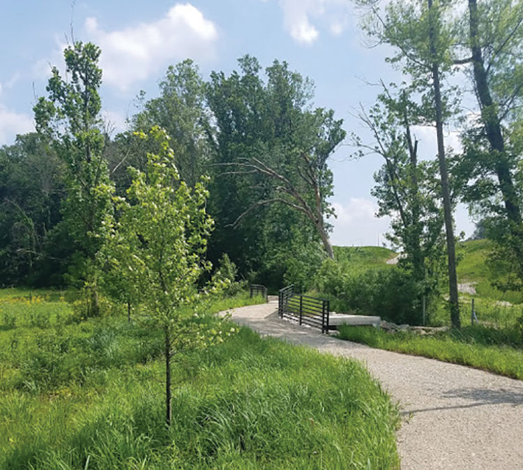 Wapehani Mountain Bike Park West Connector Causeway