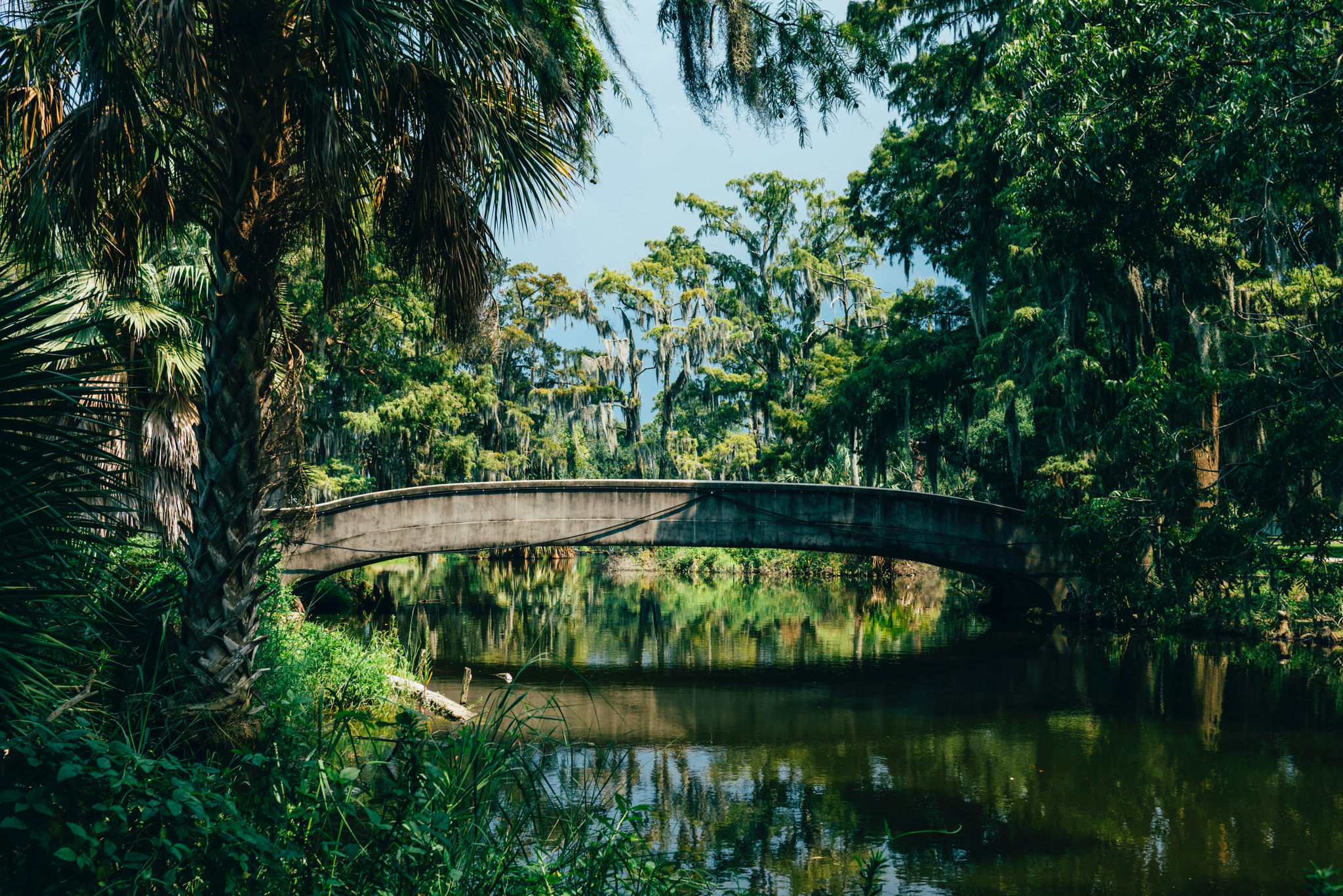 Tropical Bridge, City Park, New Orleans, Louisiana