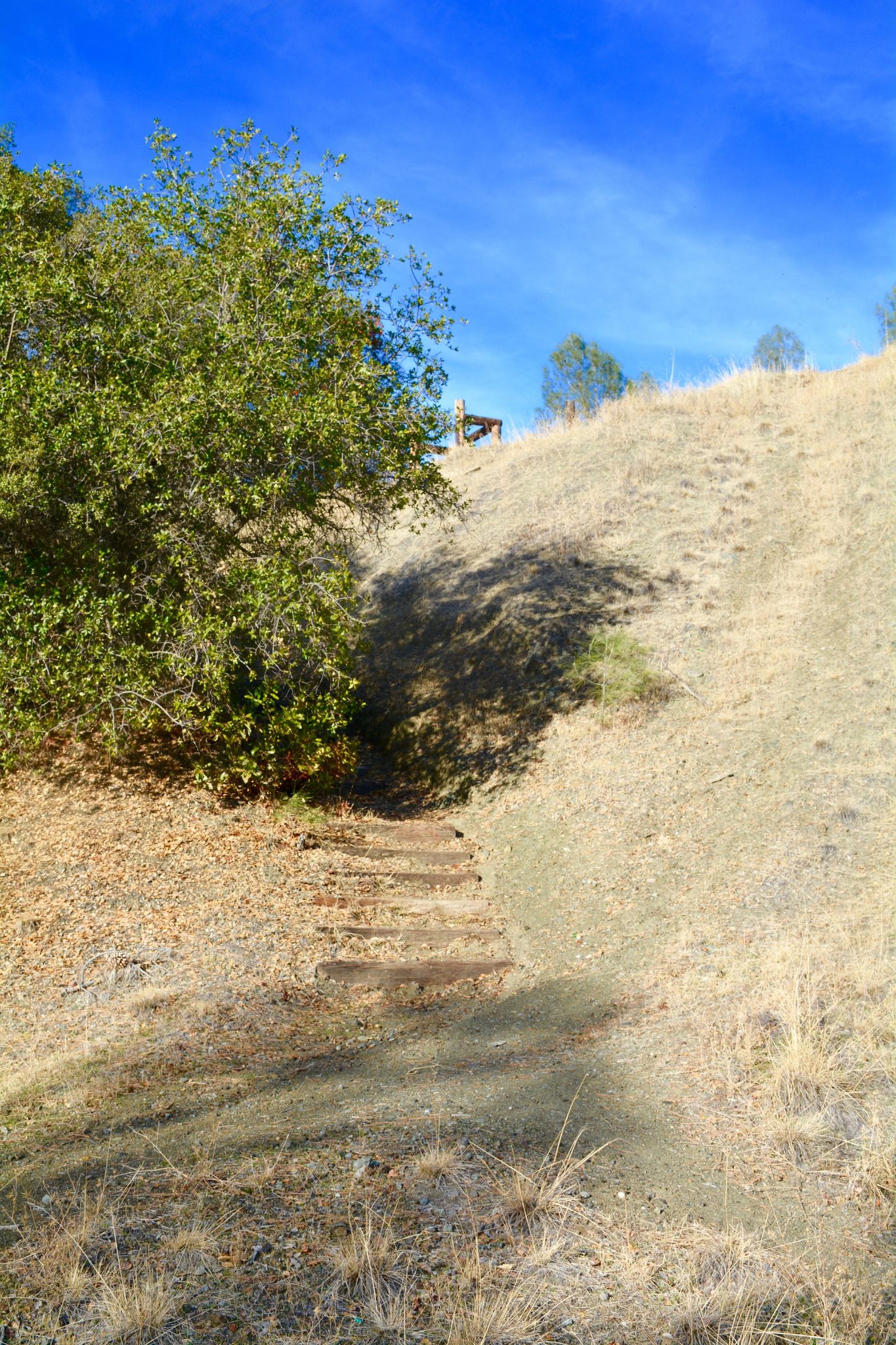 Pope_Creek_Trail_Entrance.jpg