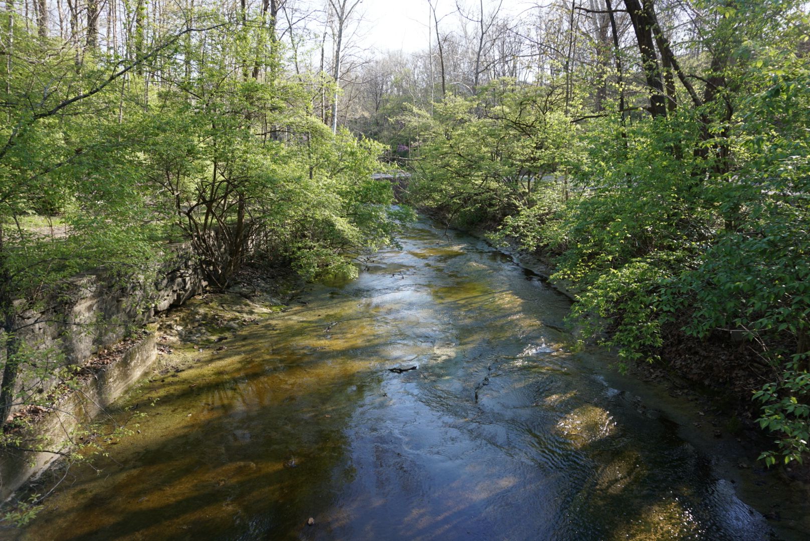 Lower Cascades Park