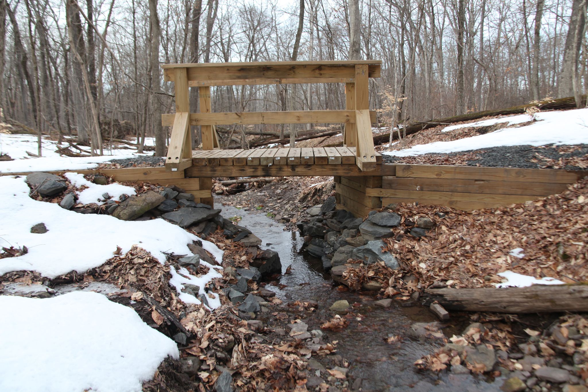 The first foot bridge in Horseshoe Bend Park.  It was build by volunteers in one day.