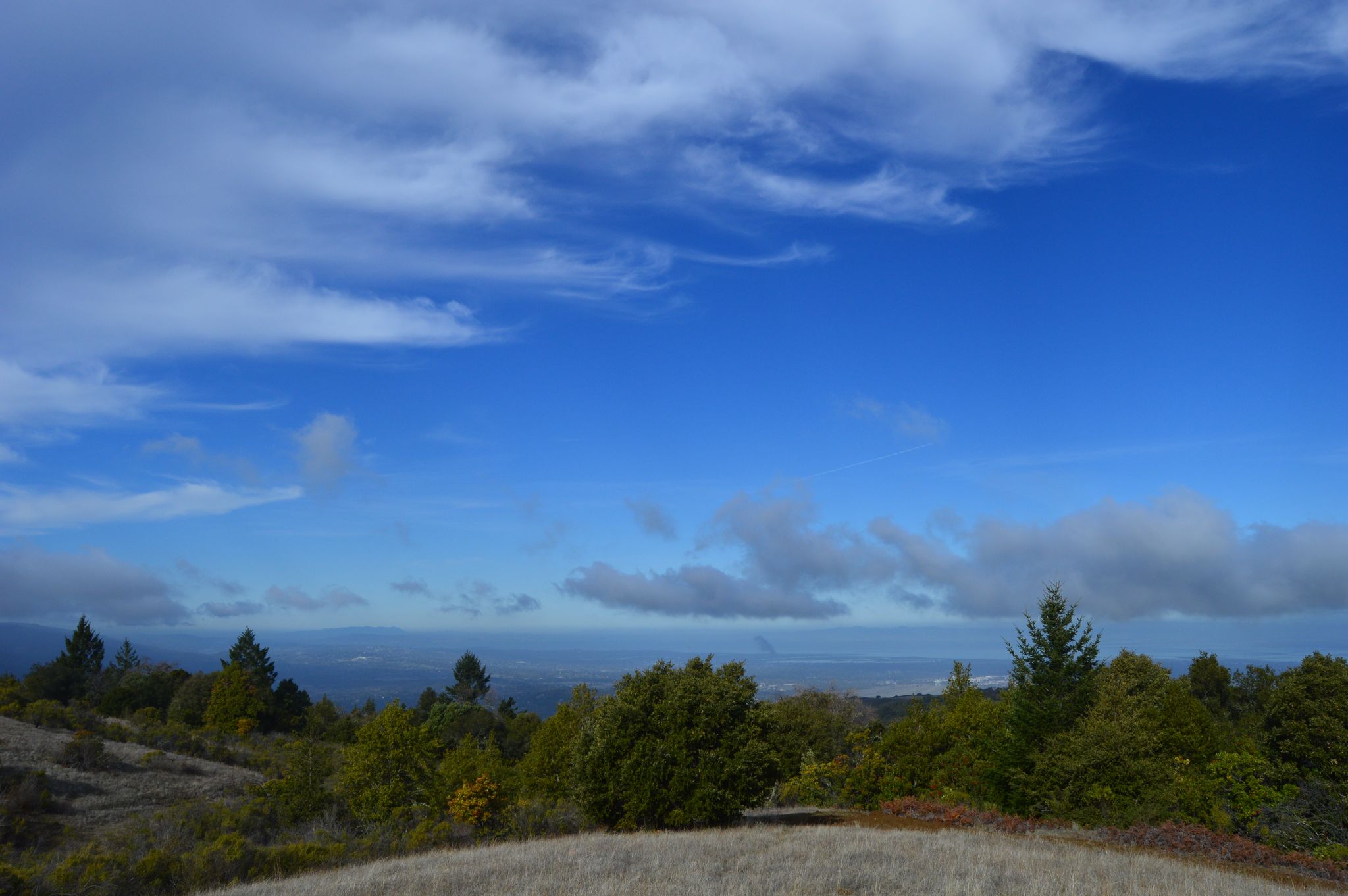 View on top of hill overlooking the Bay Area