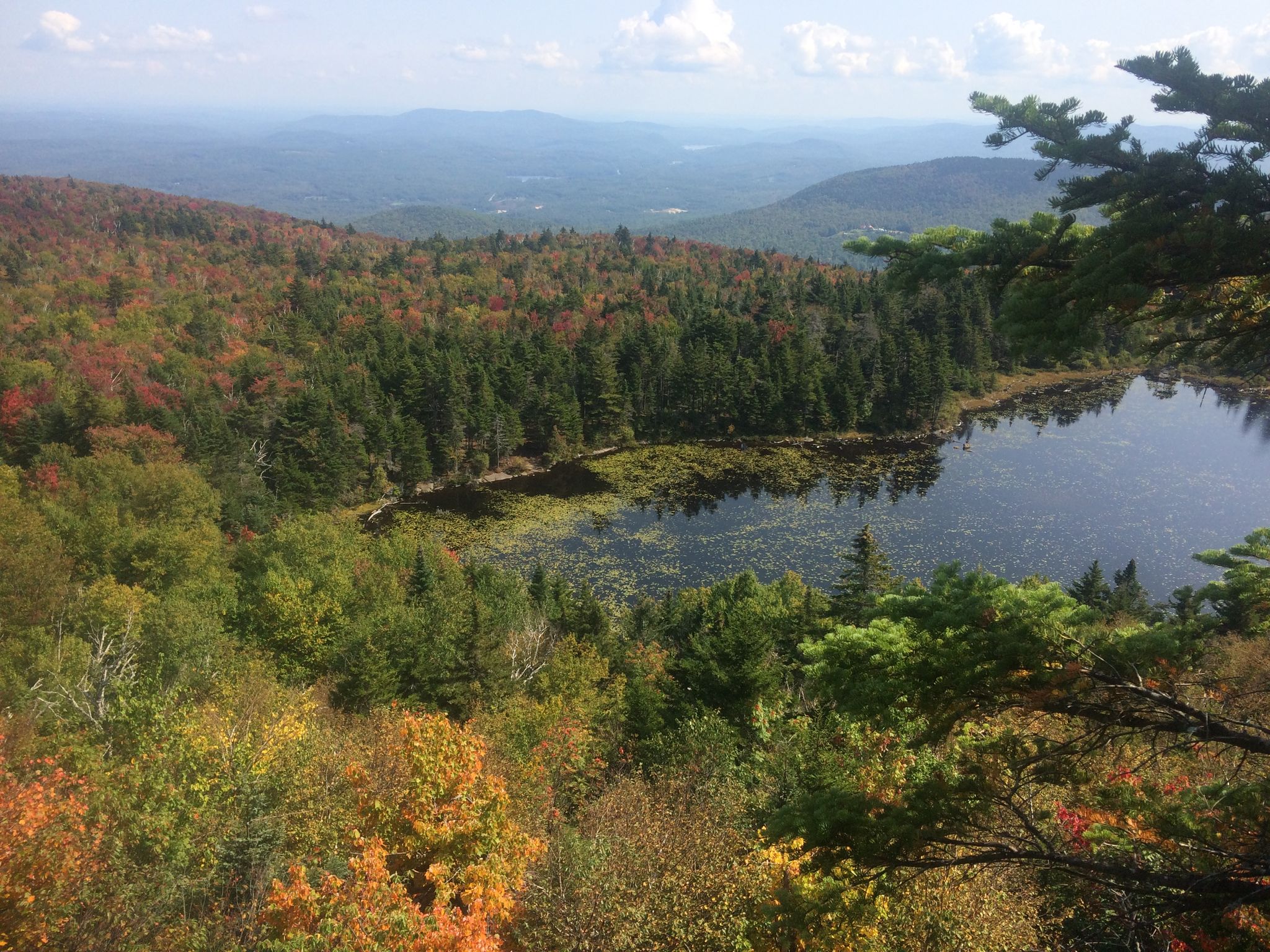 Lake Solitude as seen from White's Ledges, with surrounding fall foliage