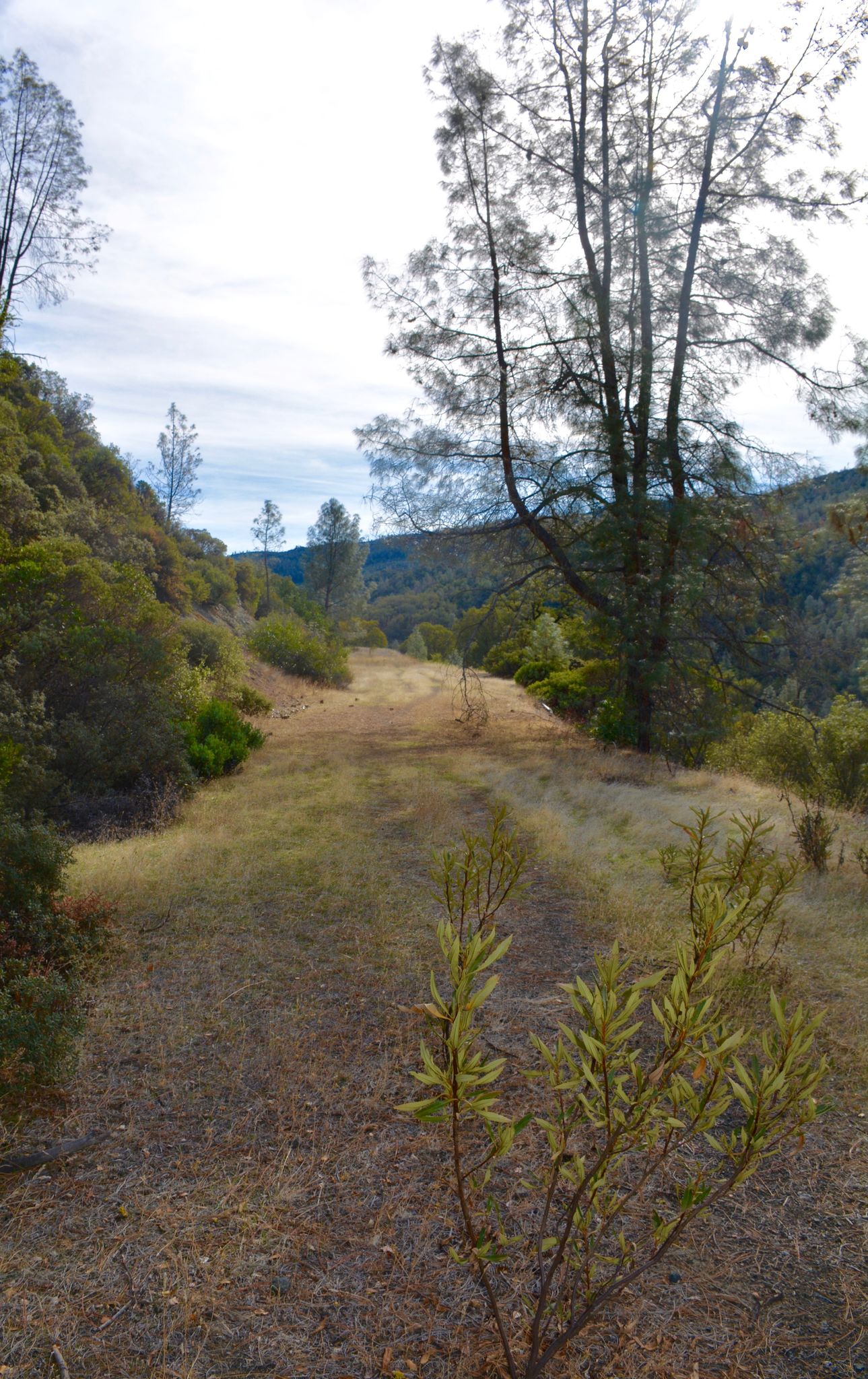 Old_Pope_Canyon_Trail.jpg