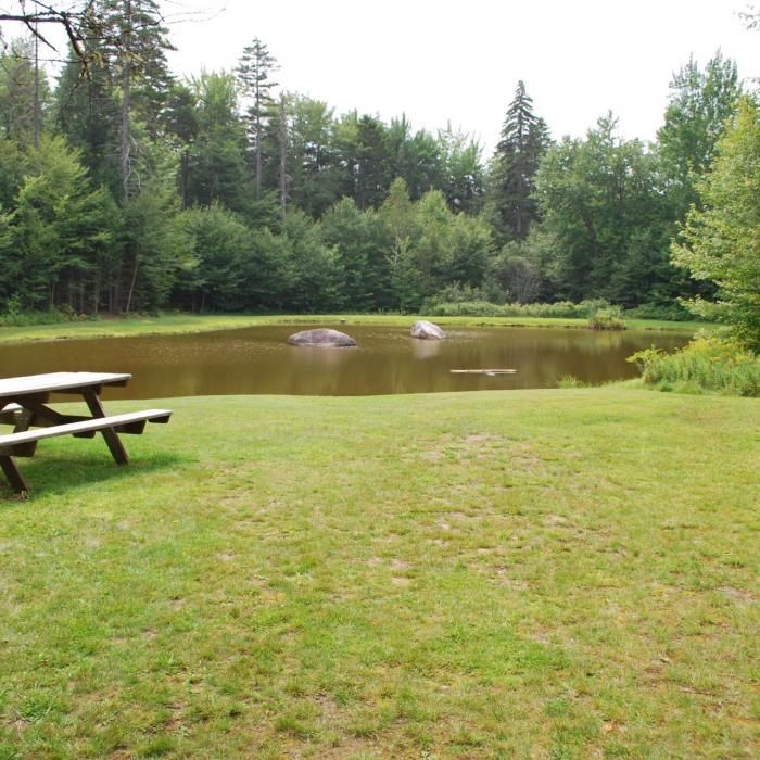 A picnic table near the pond at Bretzfelder Park.
