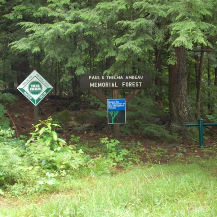 A sign for Ambeau Memorial Forest also notes that it is a working tree farm.