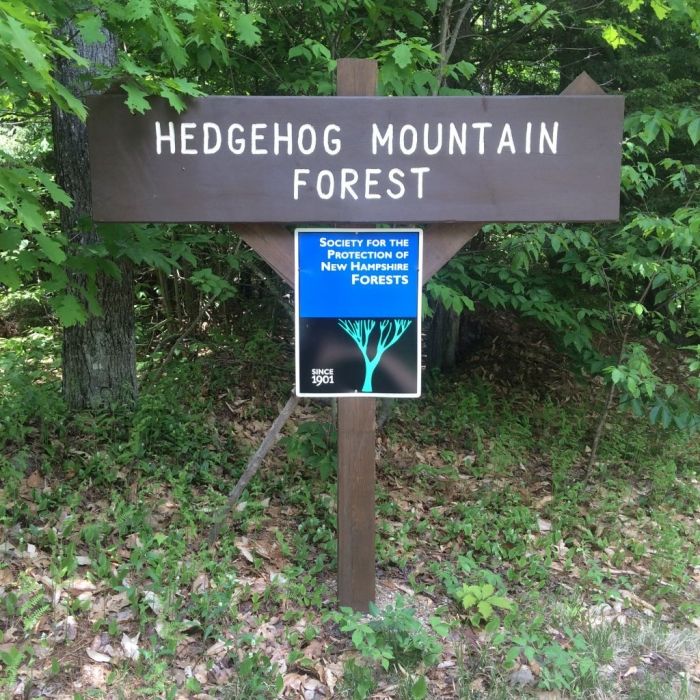 A property sign for Hedgehog Forest, conserved and managed by the Forest Society.