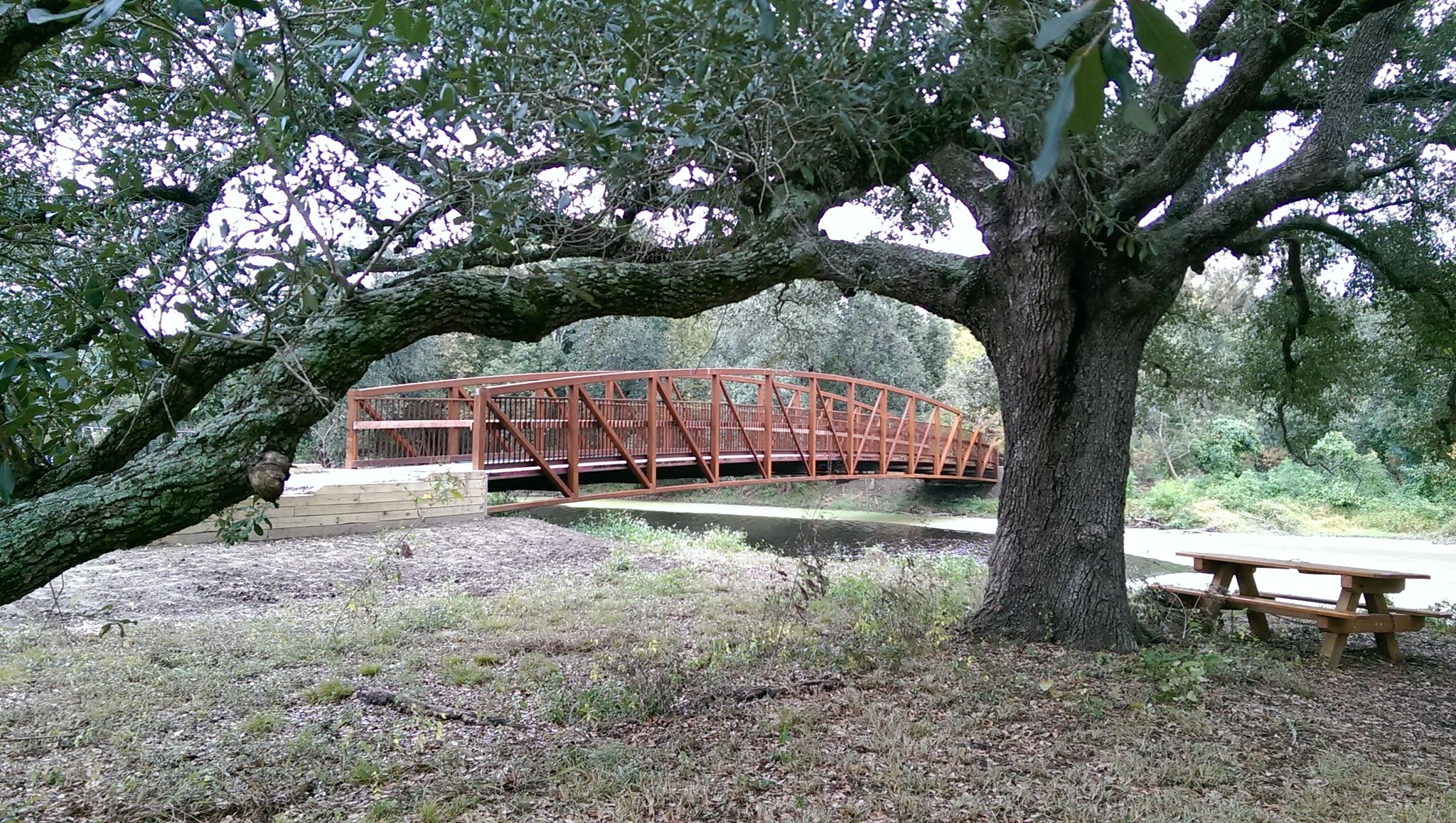 Picnic area near Couturie Forest Bridge