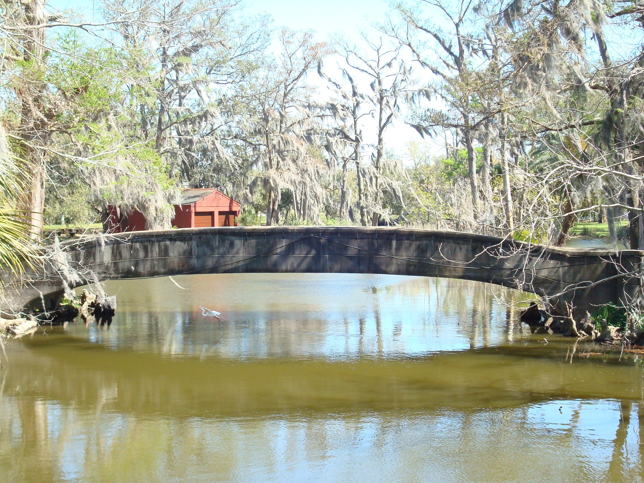 New Orleans City Park - Day Bridge