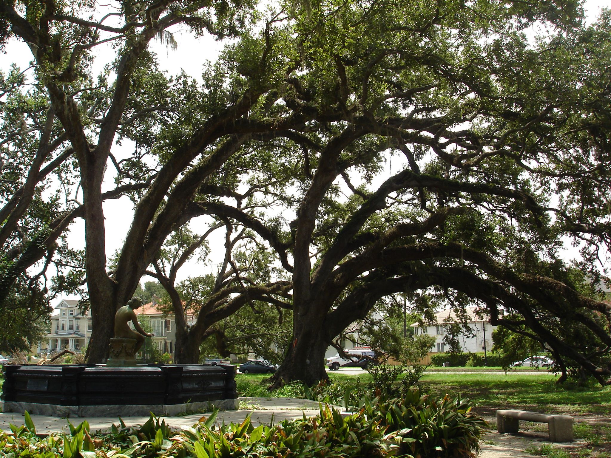 Butler Fountain in the Historic Oak Grove