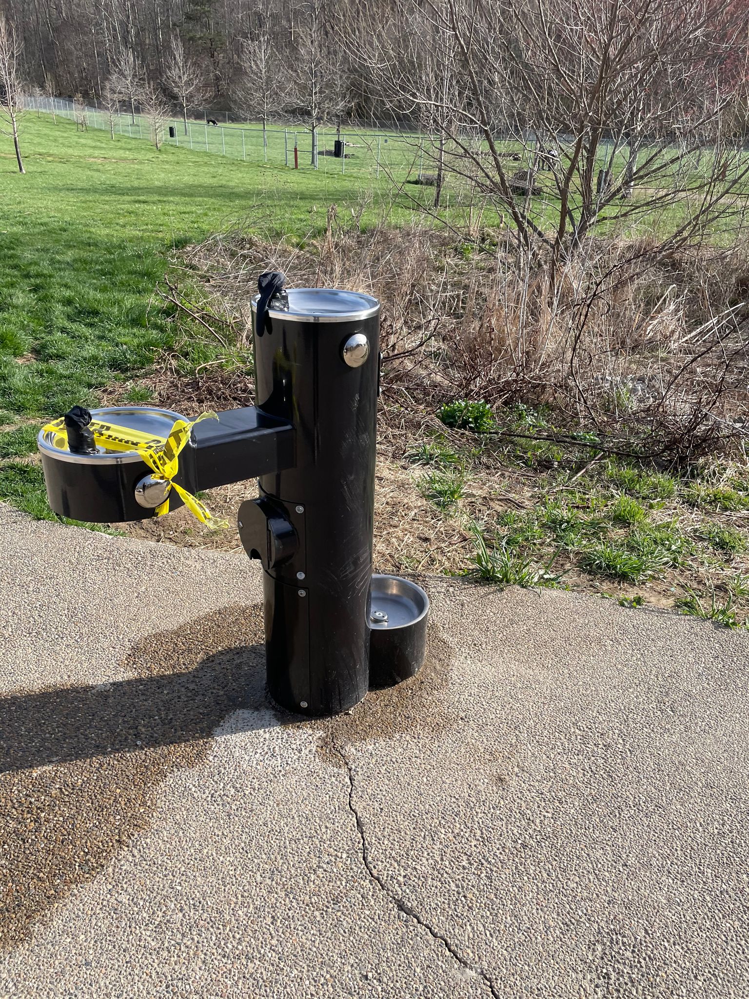 Ferguson Dog Park Drinking Fountain 