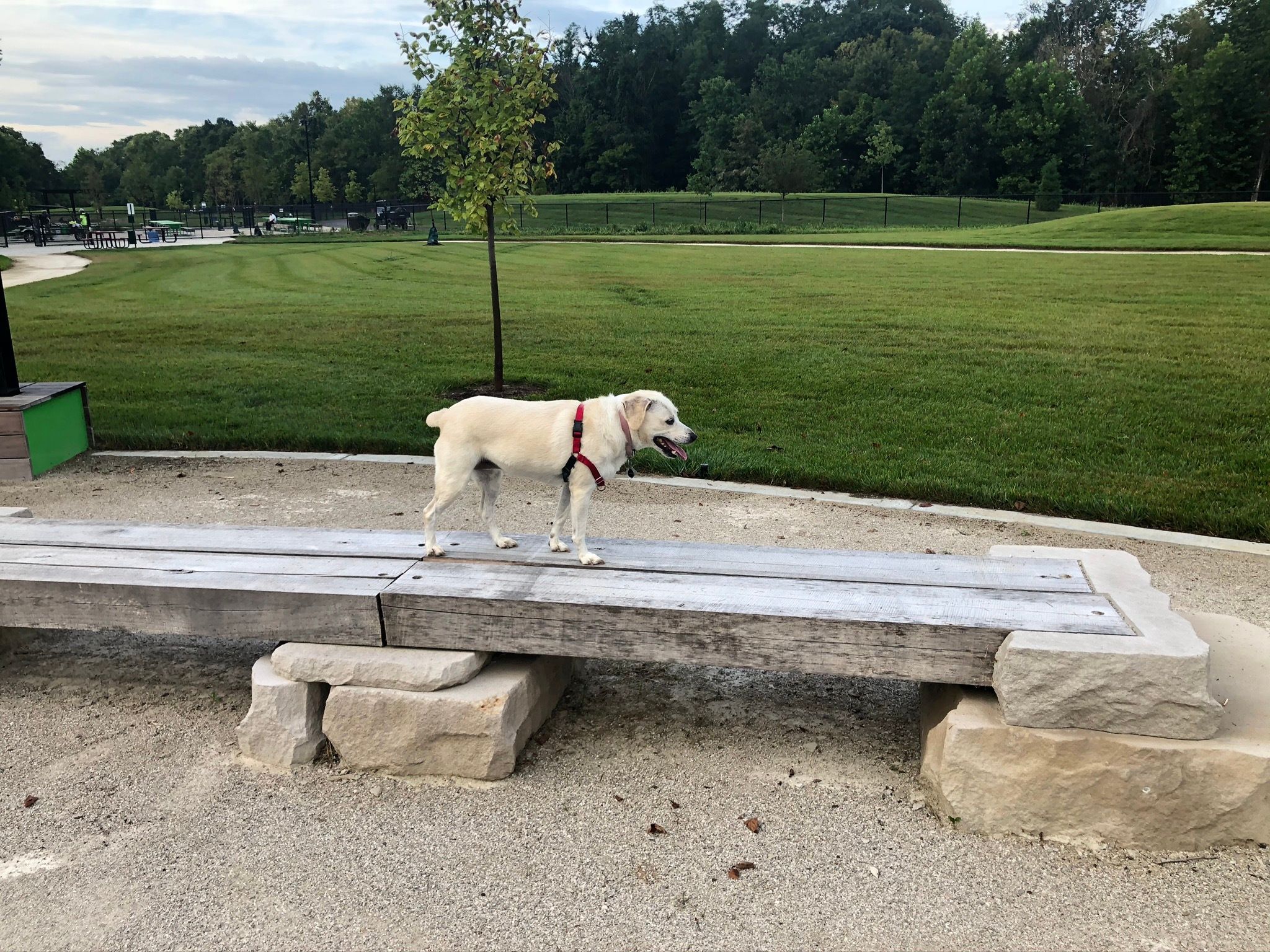 Switchyard Park Dog Park