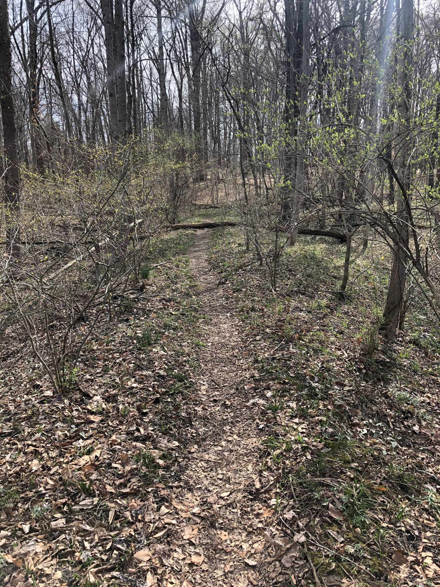 Winslow Woods Trailhead